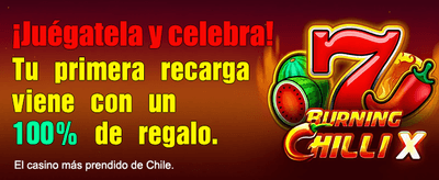 El mejor Stake en Apuestas